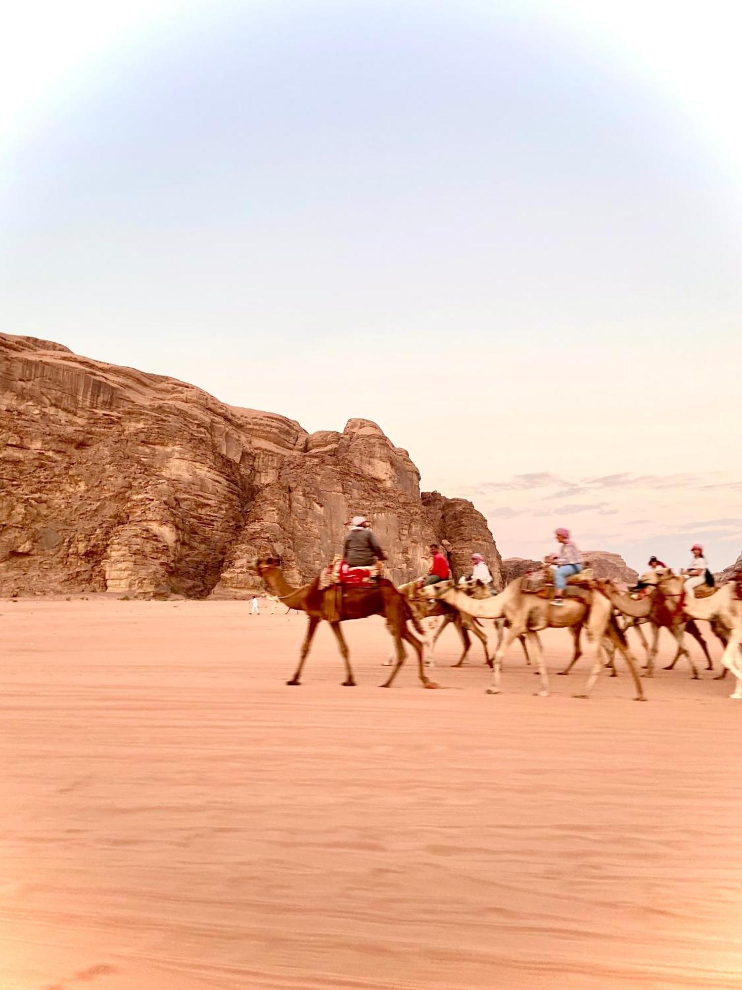 Wadi Rum Sky Camp エクステリア 写真